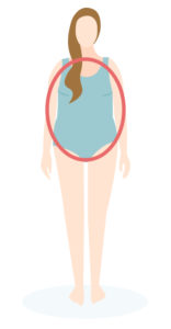 body types